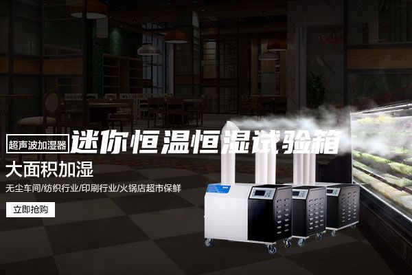 迷你恒温恒湿试验箱