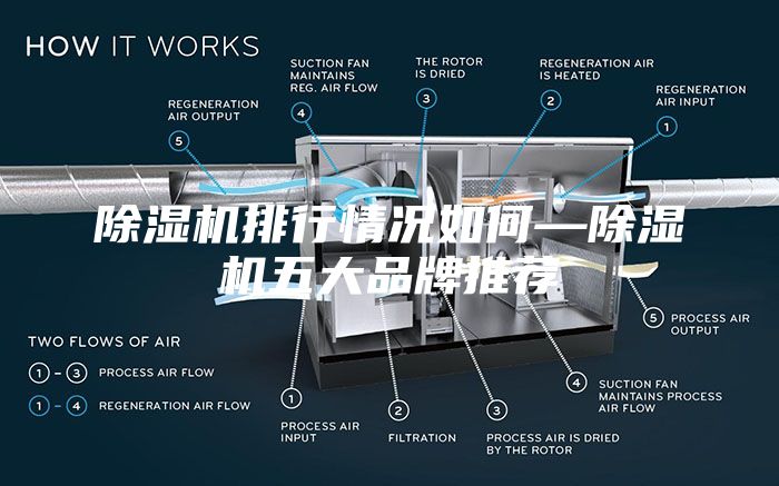 除湿机排行情况如何—除湿机五大品牌推荐