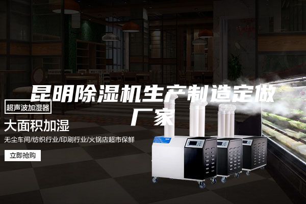 昆明除湿机生产制造定做厂家