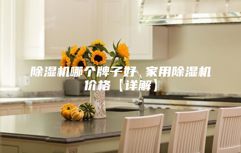 除湿机哪个牌子好 家用除湿机价格【详解】