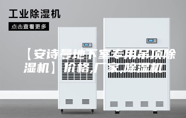 【安诗曼地下室专用吊顶除湿机】价格,厂家,除湿机
