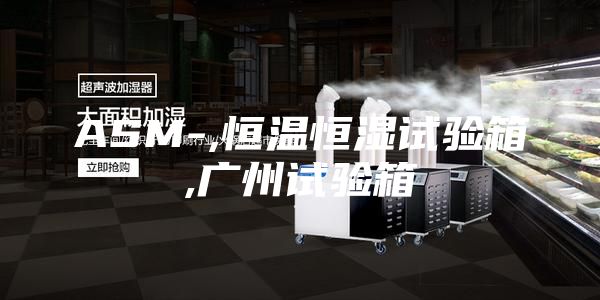 ASM-,恒温恒湿试验箱,广州试验箱