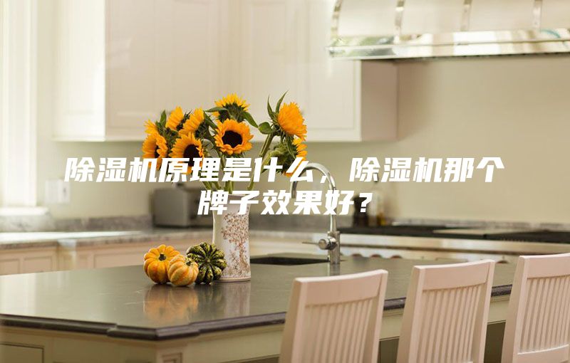 除湿机原理是什么，除湿机那个牌子效果好？