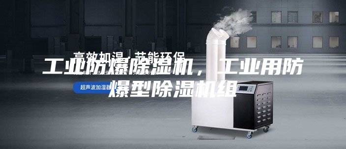 工业防爆除湿机，工业用防爆型除湿机组
