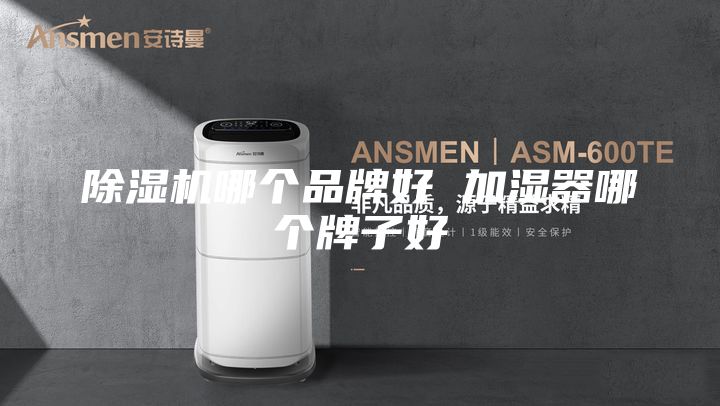 除湿机哪个品牌好 加湿器哪个牌子好