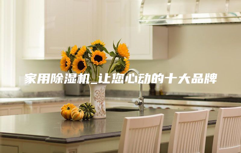 家用除湿机_让您心动的十大品牌