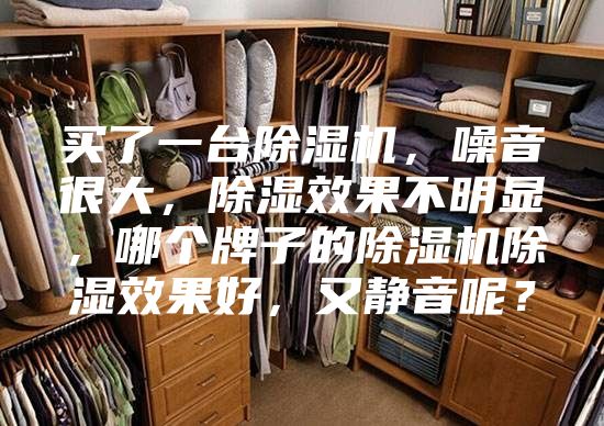 买了一台除湿机，噪音很大，除湿效果不明显，哪个牌子的除湿机除湿效果好，又静音呢？