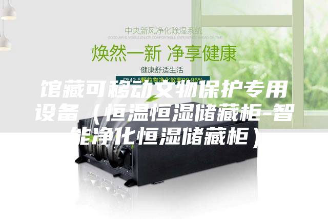 馆藏可移动文物保护专用设备（恒温恒湿储藏柜-智能净化恒湿储藏柜）