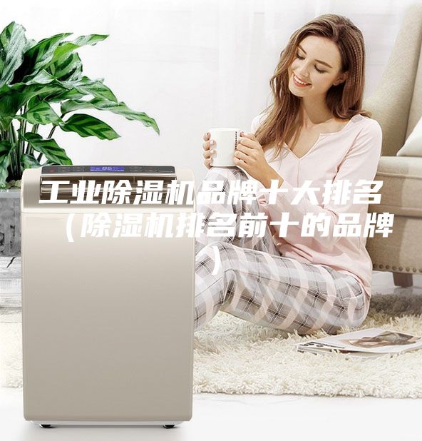 工业除湿机品牌十大排名（除湿机排名前十的品牌）