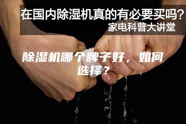 除湿机哪个牌子好，如何选择？