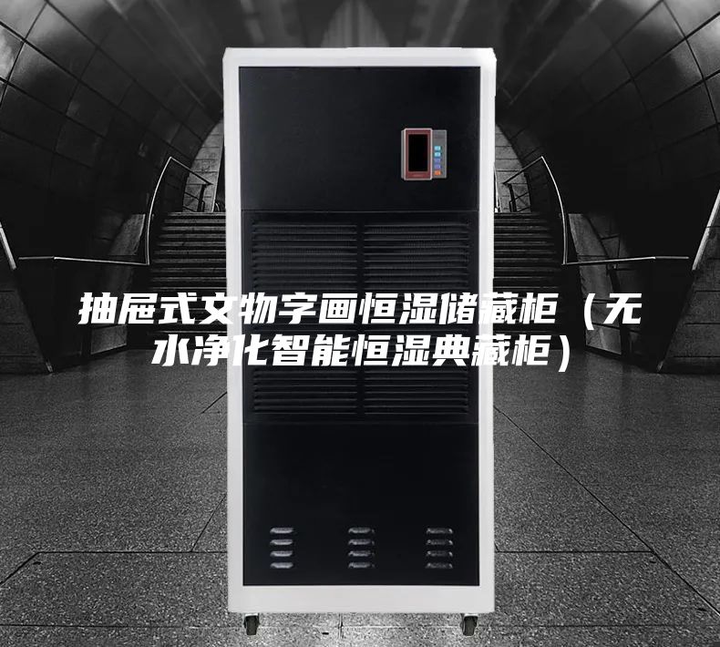 抽屉式文物字画恒湿储藏柜（无水净化智能恒湿典藏柜）