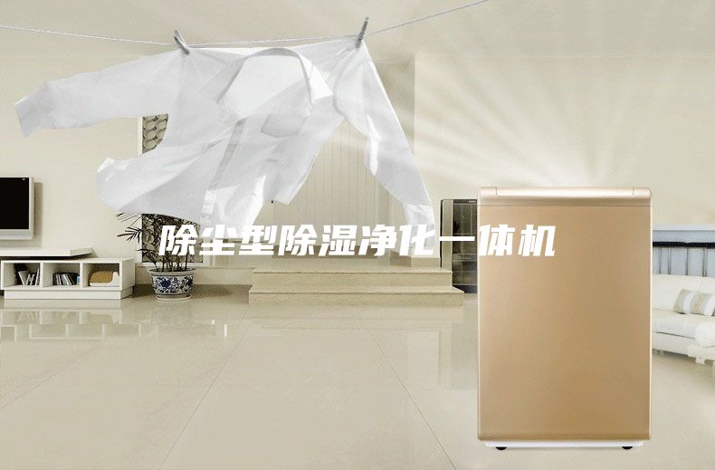 除尘型除湿净化一体机