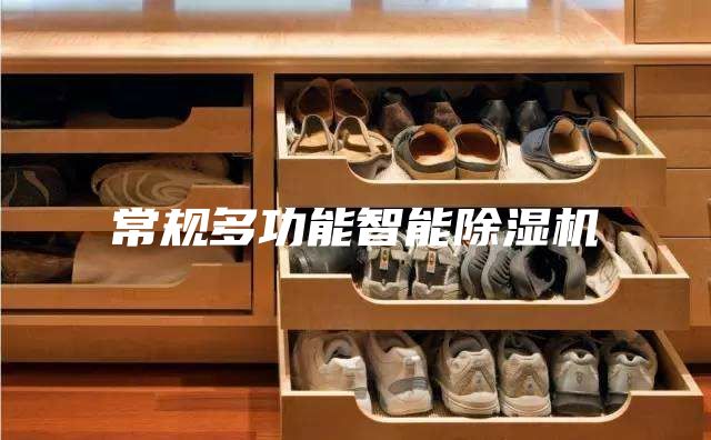 常规多功能智能除湿机