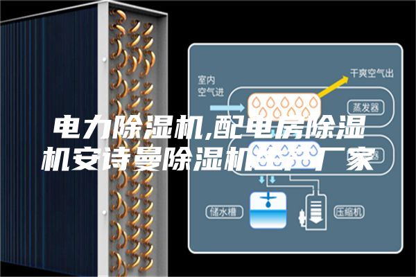 电力除湿机,配电房除湿机安诗曼除湿机生产厂家