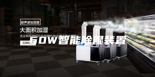 60W智能除湿装置