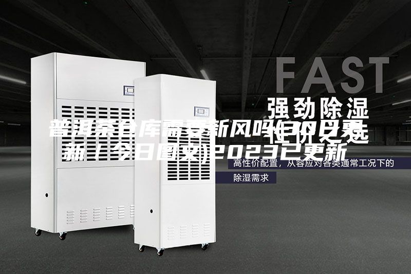 普洱茶仓库需要新风吗(30日更新／今日图文)2023已更新