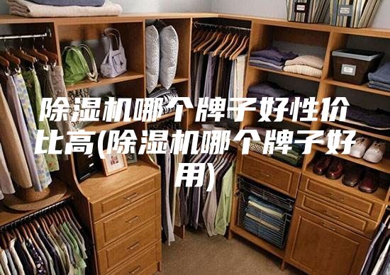 除湿机哪个牌子好性价比高(除湿机哪个牌子好用)