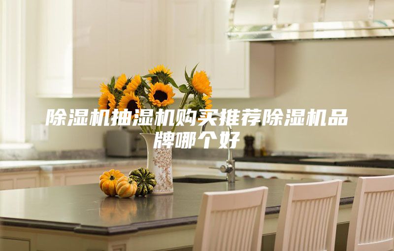 除湿机抽湿机购买推荐除湿机品牌哪个好