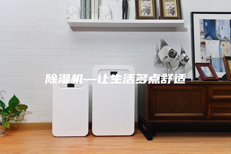 除湿机—让生活多点舒适