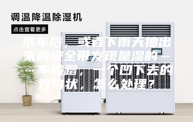 洗车后，或者下雨天抽出来的安全带发现是湿的……车被蹭，一个凹下去的对勾状，怎么处理？