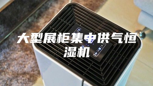 大型展柜集中供气恒湿机