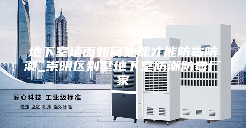 地下室墙面如何处理才能防霉防潮_崇明区别墅地下室防潮防霉厂家
