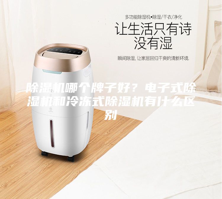 除湿机哪个牌子好?电子式除湿机和冷冻式除湿机有什么区别