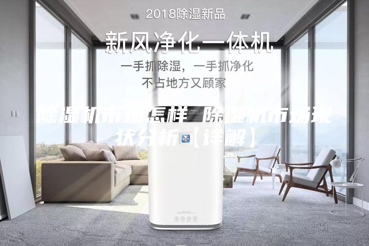除湿机市场怎样 除湿机市场现状分析【详解】