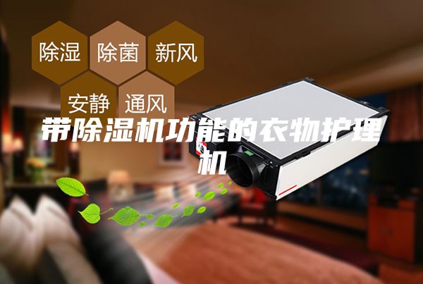 带除湿机功能的衣物护理机