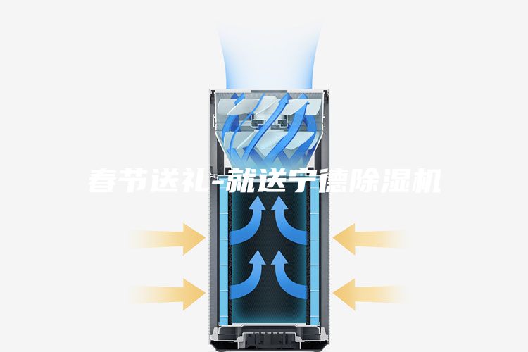 春节送礼-就送宁德除湿机