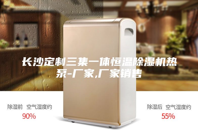 长沙定制三集一体恒温除湿机热泵-厂家,厂家销售