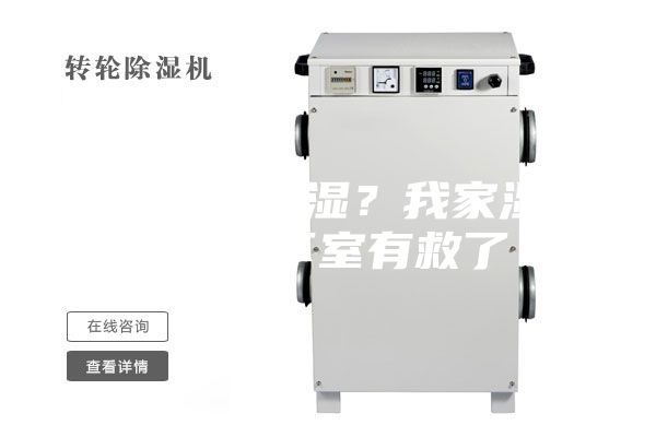 硅藻泥能除湿？我家湿哒哒的地下室有救了！