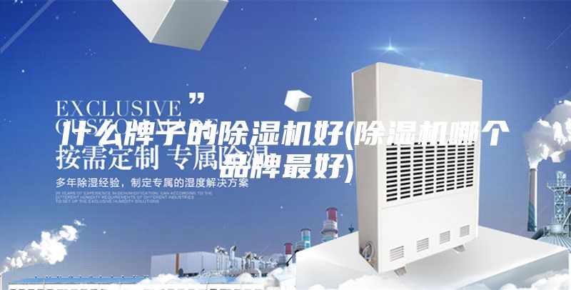 什么牌子的除湿机好(除湿机哪个品牌最好)