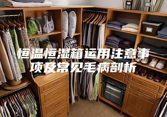 恒温恒湿箱运用注意事项及常见毛病剖析