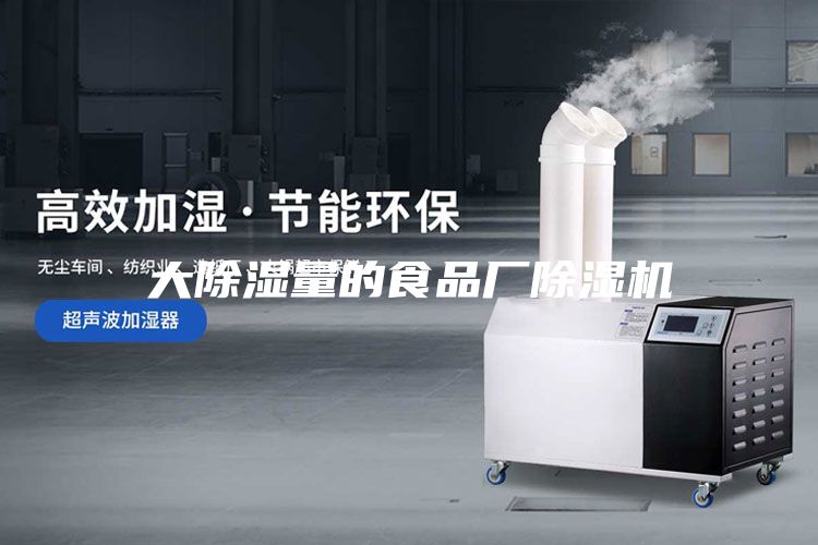 大除湿量的食品厂除湿机