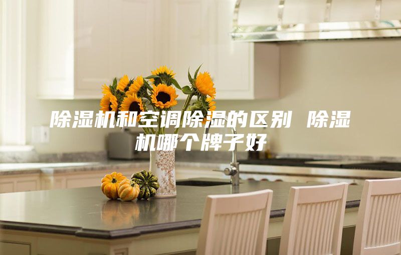 除湿机和空调除湿的区别 除湿机哪个牌子好