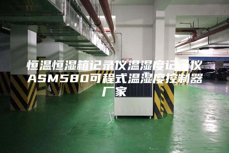 恒温恒湿箱记录仪温湿度记录仪ASM580可程式温湿度控制器厂家