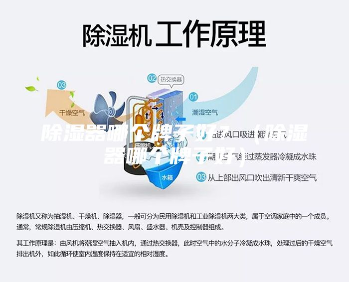 除湿器哪个牌子好？（除湿器哪个牌子好）