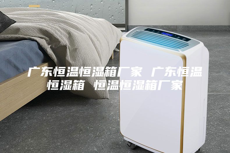广东恒温恒湿箱厂家 广东恒温恒湿箱 恒温恒湿箱厂家