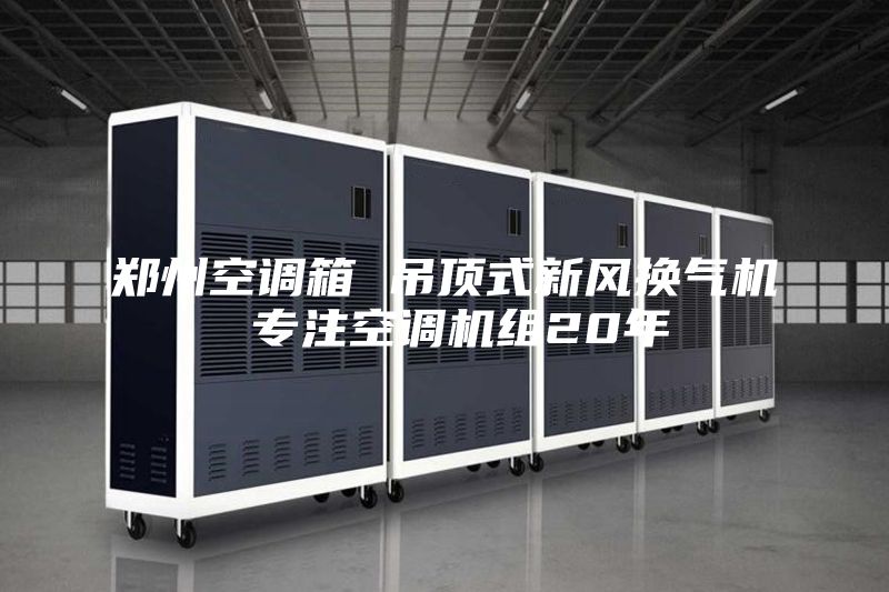 郑州空调箱 吊顶式新风换气机 专注空调机组20年