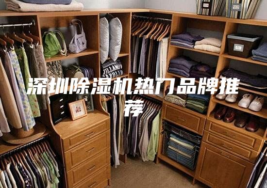 深圳除湿机热门品牌推荐
