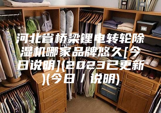 河北省桥梁锂电转轮除湿机哪家品牌悠久[今日说明](2023已更新)(今日／说明)