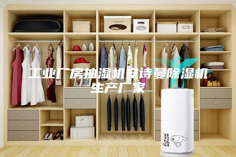 工业厂房抽湿机安诗曼除湿机生产厂家