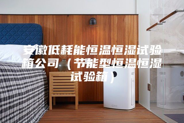安徽低耗能恒温恒湿试验箱公司（节能型恒温恒湿试验箱）