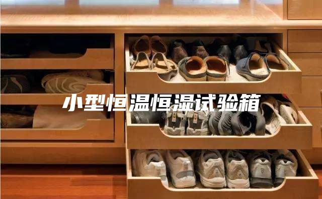 小型恒温恒湿试验箱