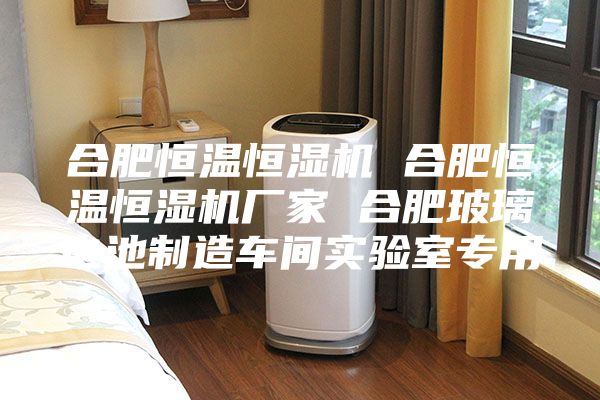 合肥恒温恒湿机 合肥恒温恒湿机厂家 合肥玻璃电池制造车间实验室专用