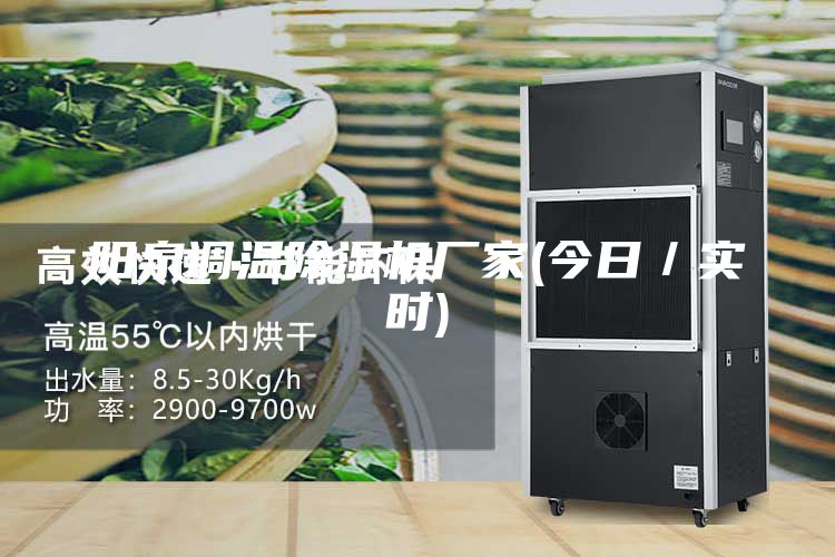 阳泉调温除湿机厂家(今日／实时)