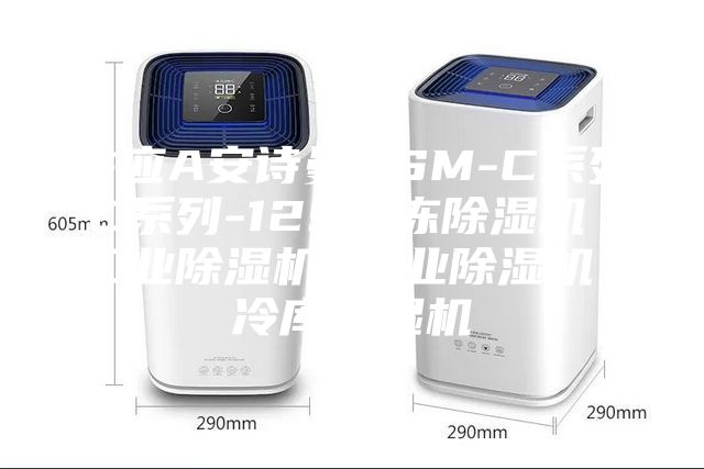 供应A安诗曼ASM-C系列C系列-12S冷冻除湿机 工业除湿机 商业除湿机 冷库除湿机