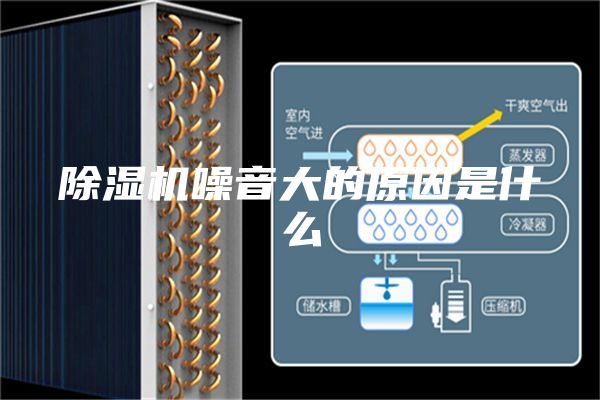 除湿机噪音大的原因是什么