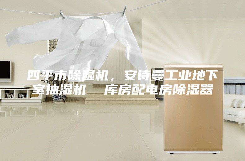 四平市除湿机，安诗曼工业地下室抽湿机  库房配电房除湿器